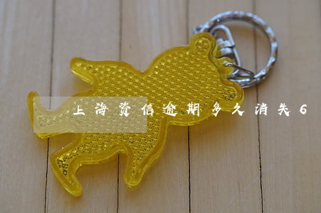 上海资信逾期多久消失6 上海资信逾期多久消失6