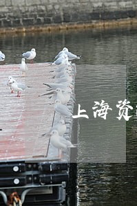 上海资深动迁律师韦勇 上海资深动迁律师韦勇