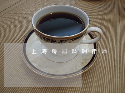 上海跨国婚姻律师 上海跨国婚姻律师