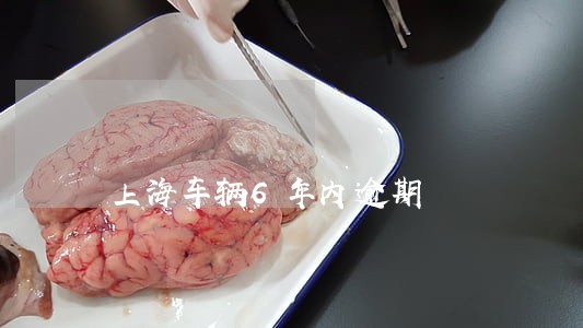 上海车辆6年内逾期 上海车辆6年内逾期