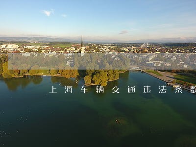 上海车辆交通违法系数表 上海车辆交通违法系数表