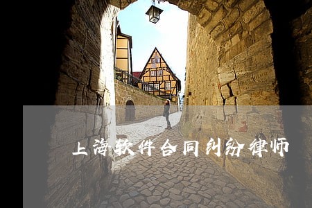 上海软件合同纠纷律师 上海软件合同纠纷律师