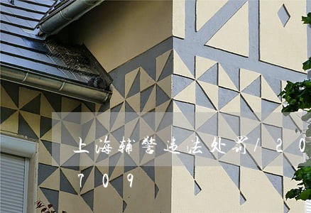 上海辅警违法处罚/2023020821709 上海辅警违法处罚/2023020821709