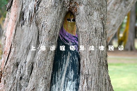 上海远程指导法律顾问 上海远程指导法律顾问