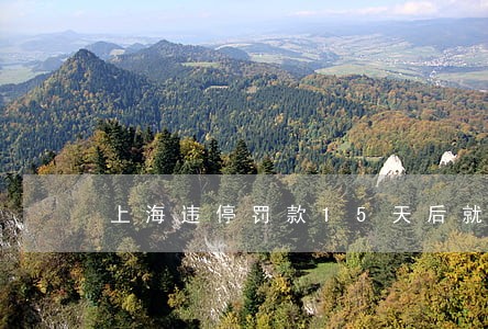 上海违停罚款15天后就逾期 上海违停罚款15天后就逾期