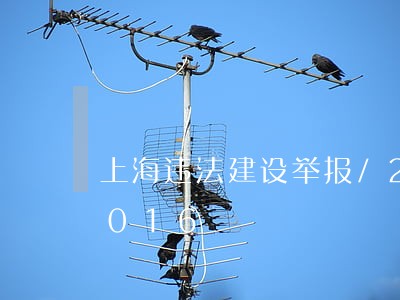 上海违法建设举报/2023012862016