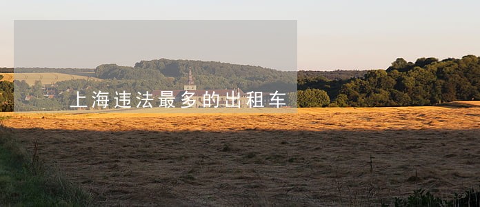 上海违法最多的出租车