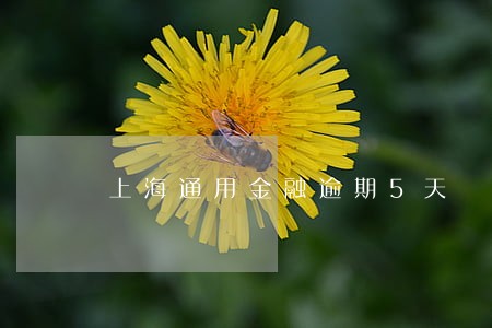 上海通用金融逾期5天 上海通用金融逾期5天