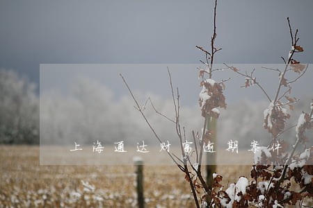 上海通达财富逾期案件