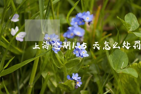 上海逾期15天怎么处罚 上海逾期15天怎么处罚