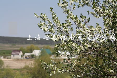 上海逾期信用可以消除吗 上海逾期信用可以消除吗