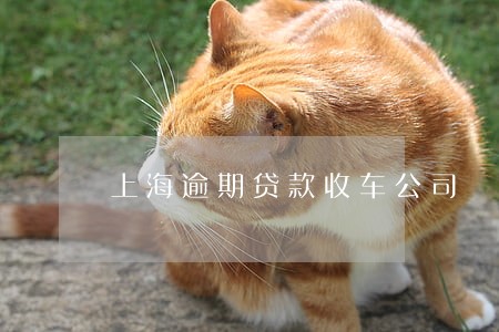 上海逾期贷款收车公司 上海逾期贷款收车公司