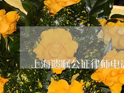 上海遗嘱公证律师电话
