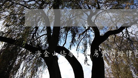 上海金山信誉高的房产纠纷律师 上海金山信誉高的房产纠纷律师