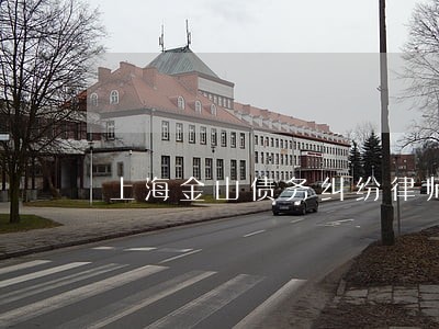 上海金山债务纠纷律师怎么收费 上海金山债务纠纷律师怎么收费