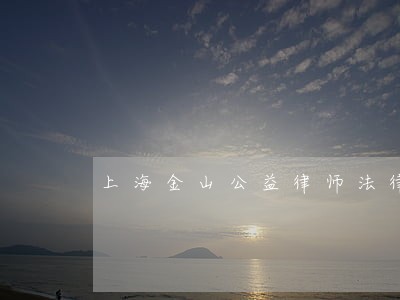 上海金山公益律师法律援助