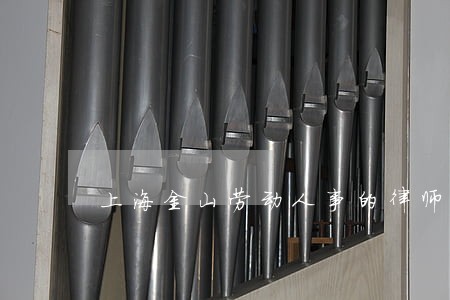 上海金山劳动人事的律师 上海金山劳动人事的律师