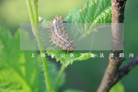 上海金山区企业法律顾问收费标准