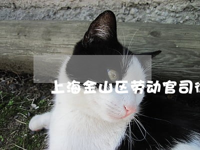 上海金山区劳动官司律师收费标准 上海金山区劳动官司律师收费标准