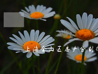 上海金山区房产分割律师 上海金山区房产分割律师
