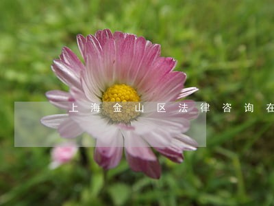 上海金山区法律咨询在线 上海金山区法律咨询在线