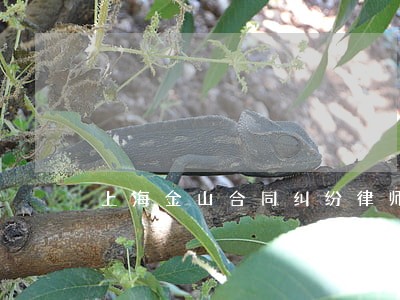 上海金山合同纠纷律师 上海金山合同纠纷律师