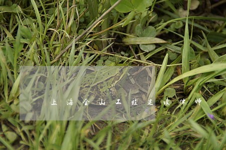上海金山工程建设律师 上海金山工程建设律师