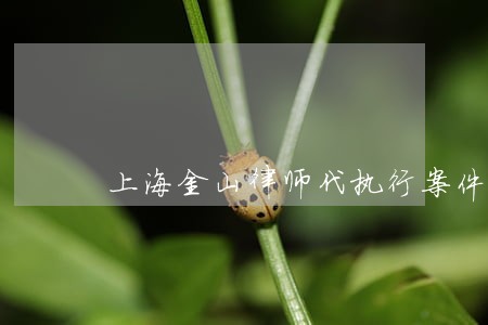 上海金山律师代执行案件联系方式