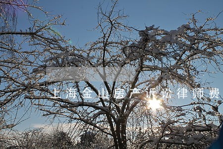 上海金山房产诉讼律师费用 上海金山房产诉讼律师费用