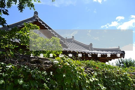 上海金山挪用公款罪律师哪家正规 上海金山挪用公款罪律师哪家正规