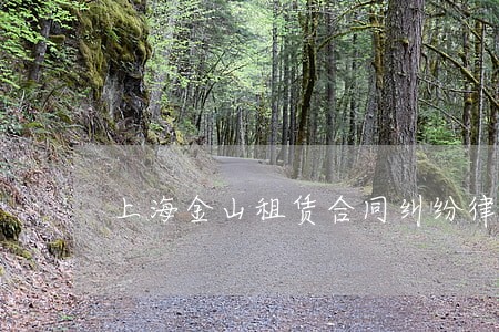 上海金山租赁合同纠纷律师 上海金山租赁合同纠纷律师
