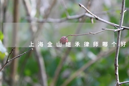 上海金山继承律师哪个好 上海金山继承律师哪个好