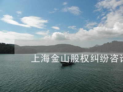 上海金山股权纠纷咨询律师 上海金山股权纠纷咨询律师