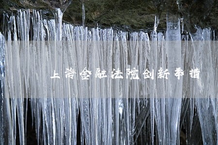 上海金融法院创新举措 上海金融法院创新举措