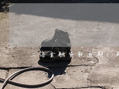 上海金融贷款逾期1天 上海金融贷款逾期1天