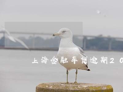 上海金融车贷逾期20天后果 上海金融车贷逾期20天后果