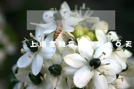 上海金融车贷逾期20天怎么办 上海金融车贷逾期20天怎么办