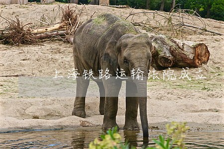 上海铁路运输法院成立 上海铁路运输法院成立