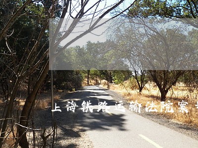上海铁路运输法院案号查询 上海铁路运输法院案号查询