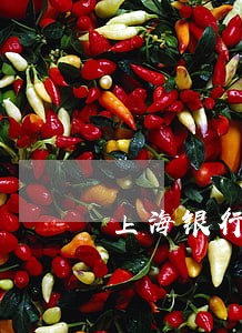 上海银行信用卡临额逾期
