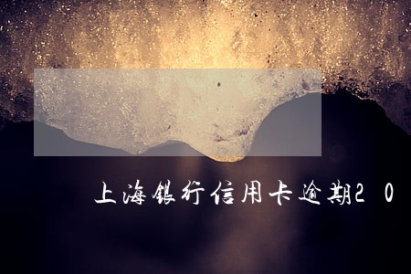 上海银行信用卡逾期20天 上海银行信用卡逾期20天