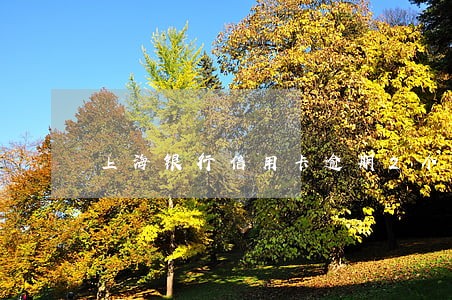 上海银行信用卡逾期2个账单