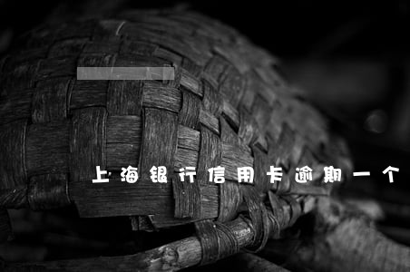 上海银行信用卡逾期一个月