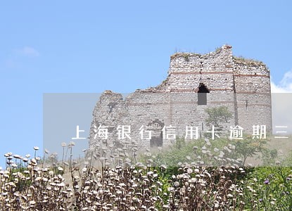 上海银行信用卡逾期三天 上海银行信用卡逾期三天