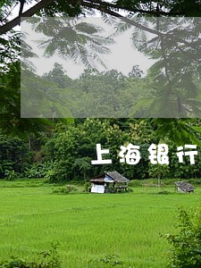 上海银行信用卡逾期三天咋办 上海银行信用卡逾期三天咋办