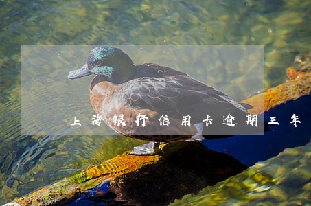 上海银行信用卡逾期三年未还 上海银行信用卡逾期三年未还