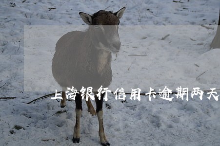 上海银行信用卡逾期两天