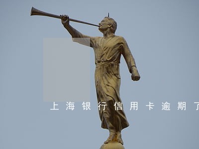 上海银行信用卡逾期了七万元
