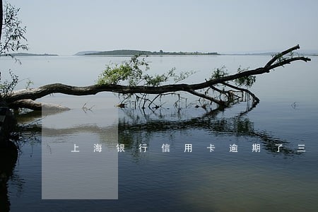 上海银行信用卡逾期了三天