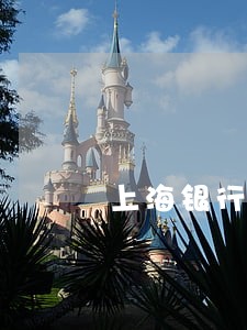 上海银行信用卡逾期了怎么办 上海银行信用卡逾期了怎么办
